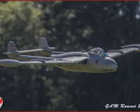 TSR Watermark - 0481